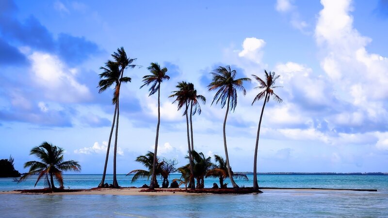 Palm Trees on Sandbar — Blue, Serene, Afternoon, Photograph, Ocean, Sky, Clouds