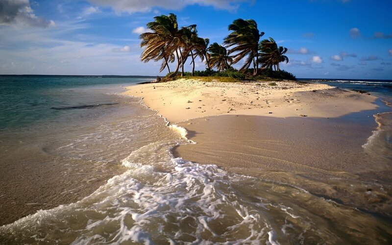 Palm Trees on Sandbar — Blue, Serene, Afternoon, Photograph, Ocean, Sky, Sand