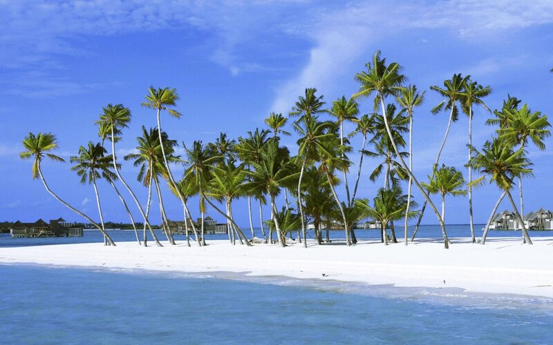 Palm Trees on Sandbar — Blue, Serene, Afternoon