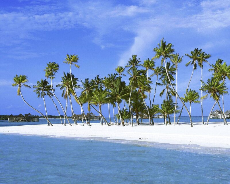 Palm Trees on Sandbar — Blue
