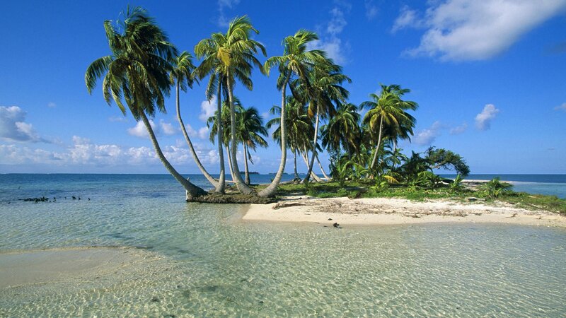 Palm Trees on Small Island — Blue, Serene