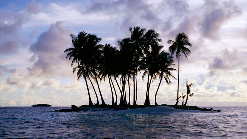 Palm Trees on Small Island — Blue