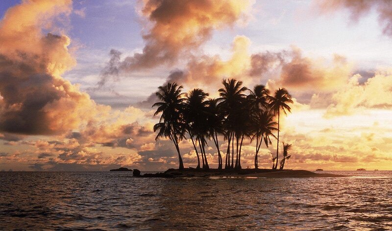 Palm Trees on Small Island — Orange