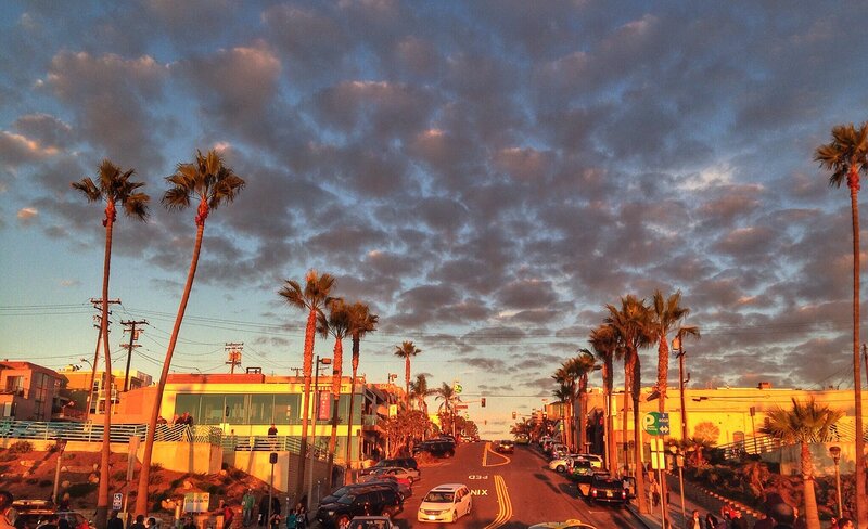 Palm Trees on Street — Blue
