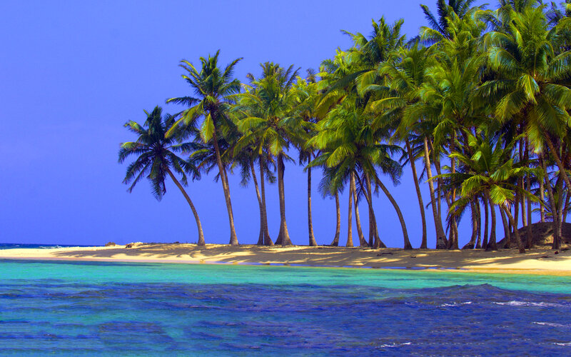 Palm Trees on Tropical Island — Blue, Serene, Afternoon, Photograph, Sand