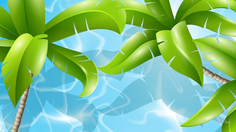 Palm Trees over Water