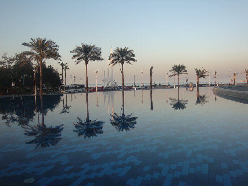 Palm trees reflected in a pool