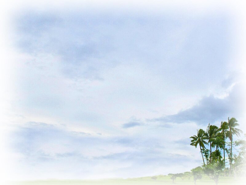 palm trees under cloudy sky