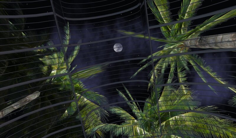 Palm Trees under Moonlight