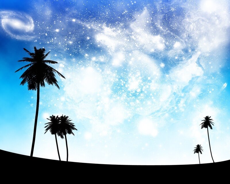 palm trees under starry sky