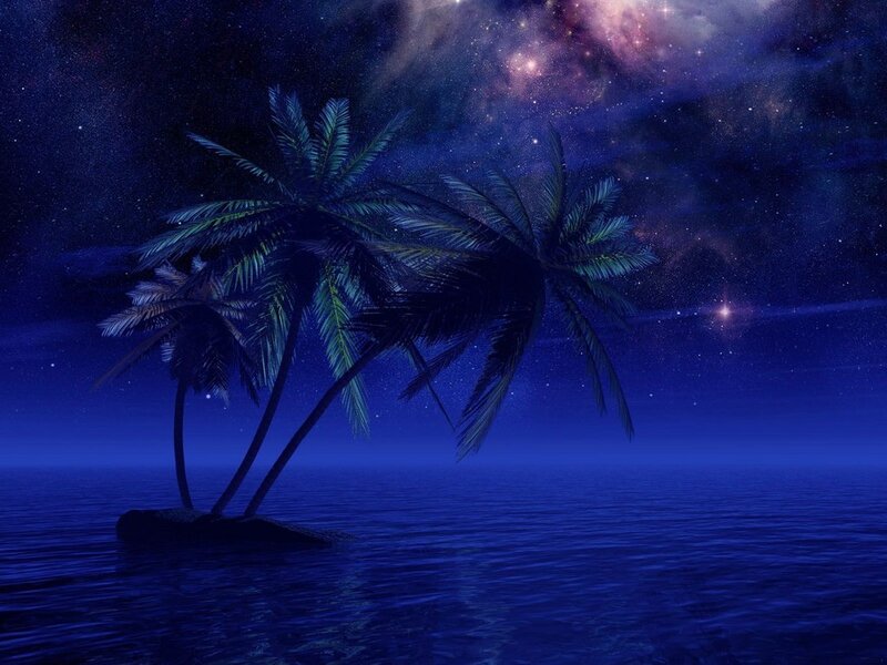 Palm trees under starry sky