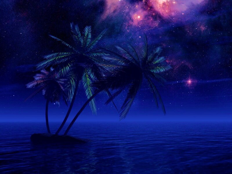 Palm trees under starry sky