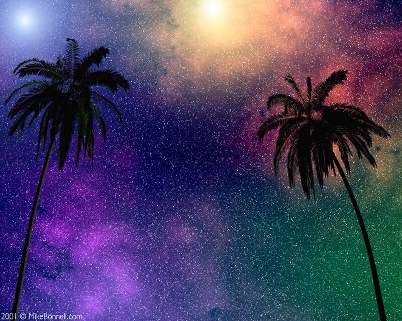 Palm Trees under Starry Sky — Purple