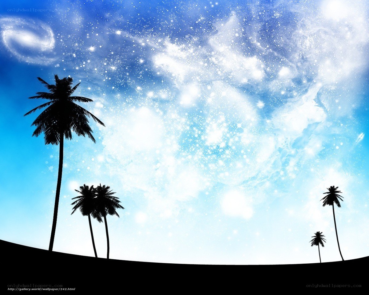 Palm trees under starry sky