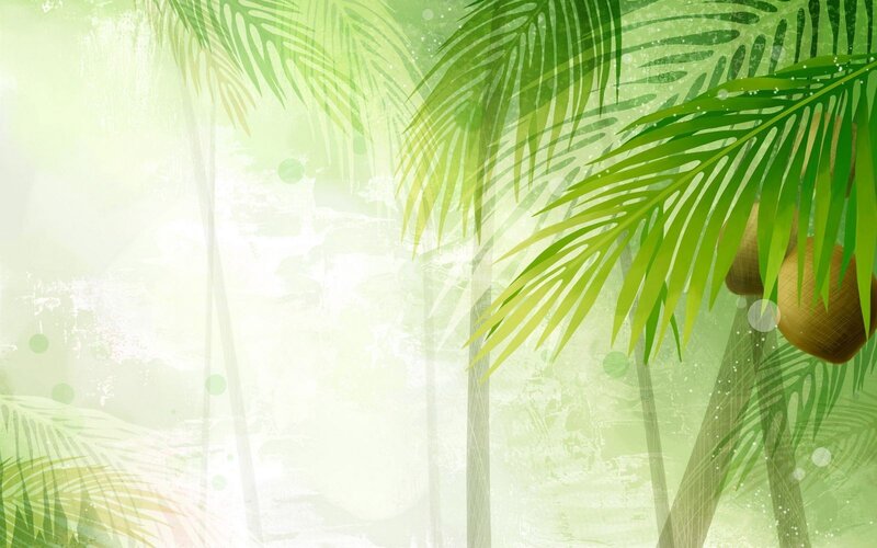 Palm Trees with Coconuts
