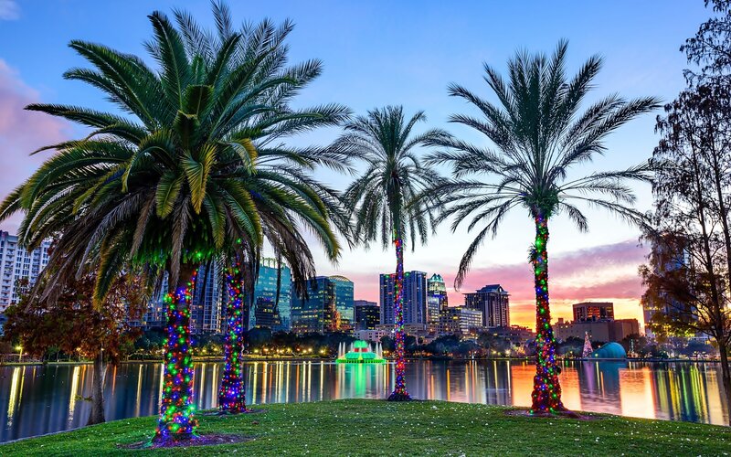 Palm Trees with Lights — Blue