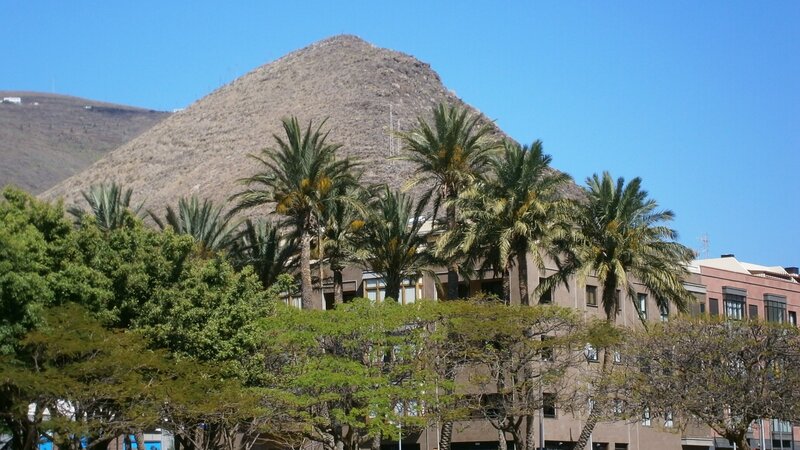 Palm trees with mountain backdrop