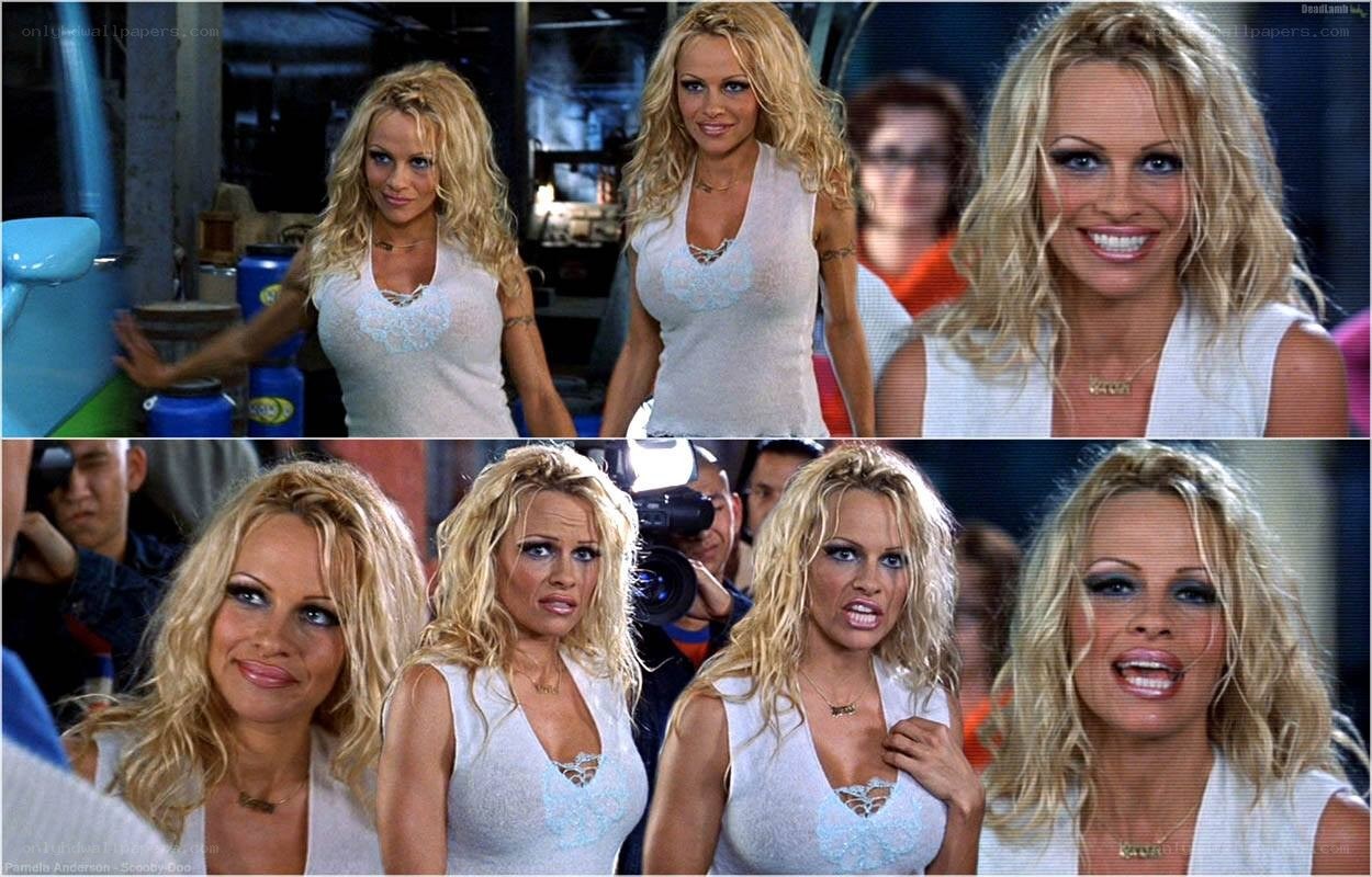 Pamela Anderson in a collage
