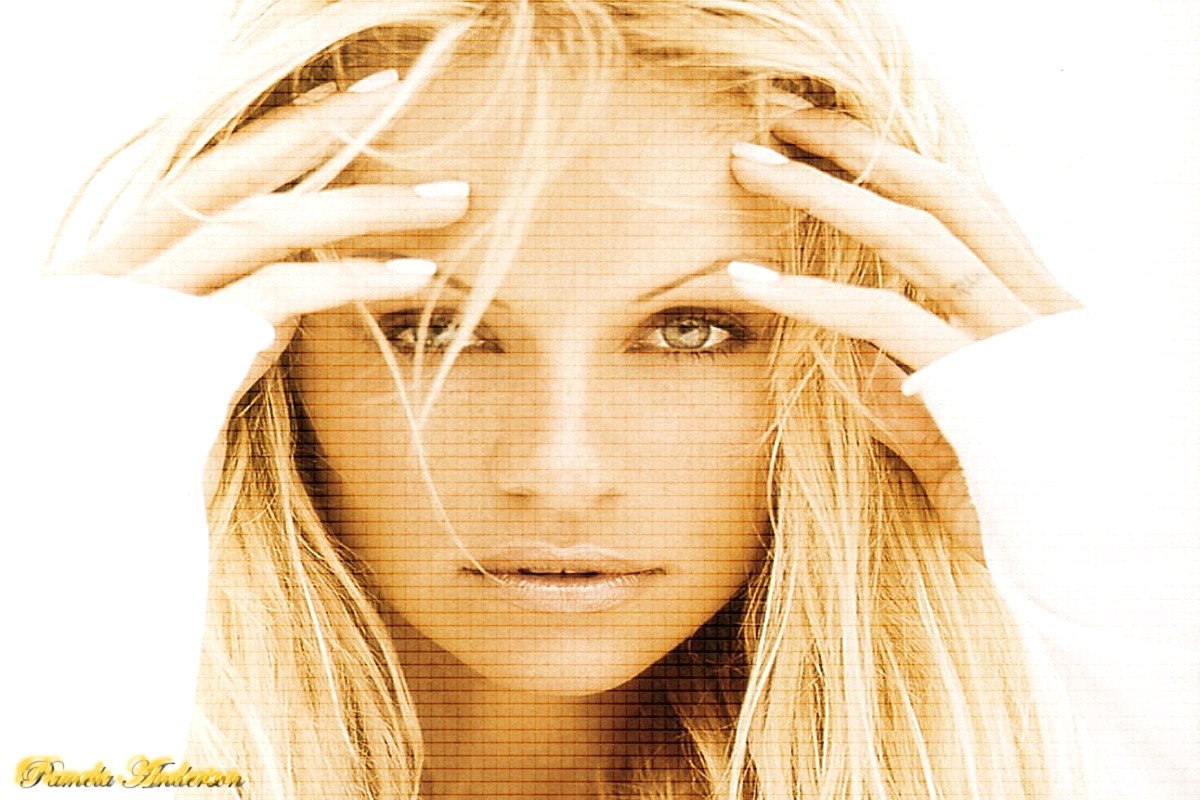 Pamela Anderson portrait