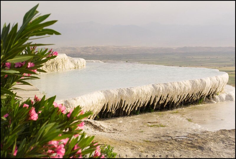 Pamukkale travertines with flowers