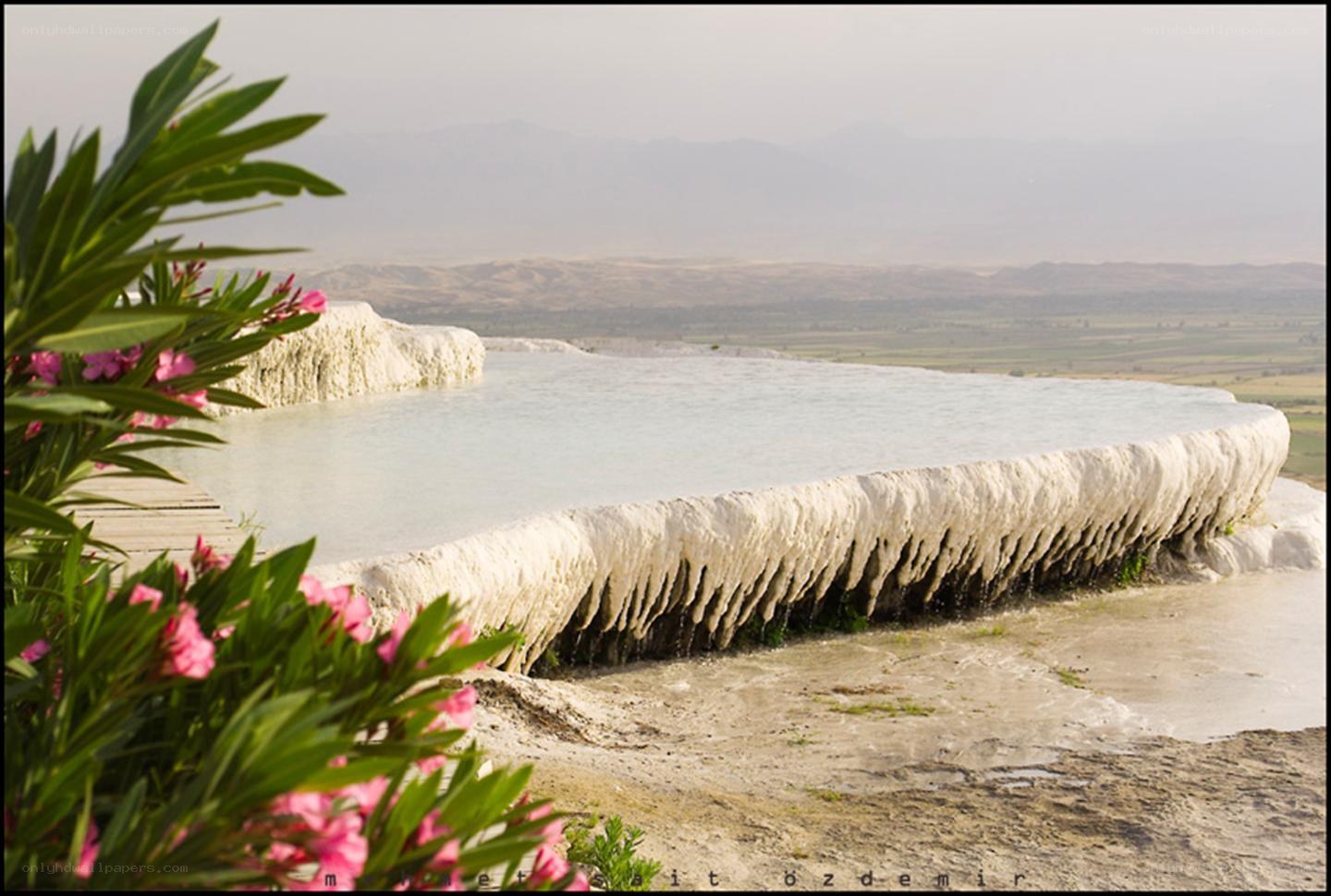 Pamukkale travertines with flowers