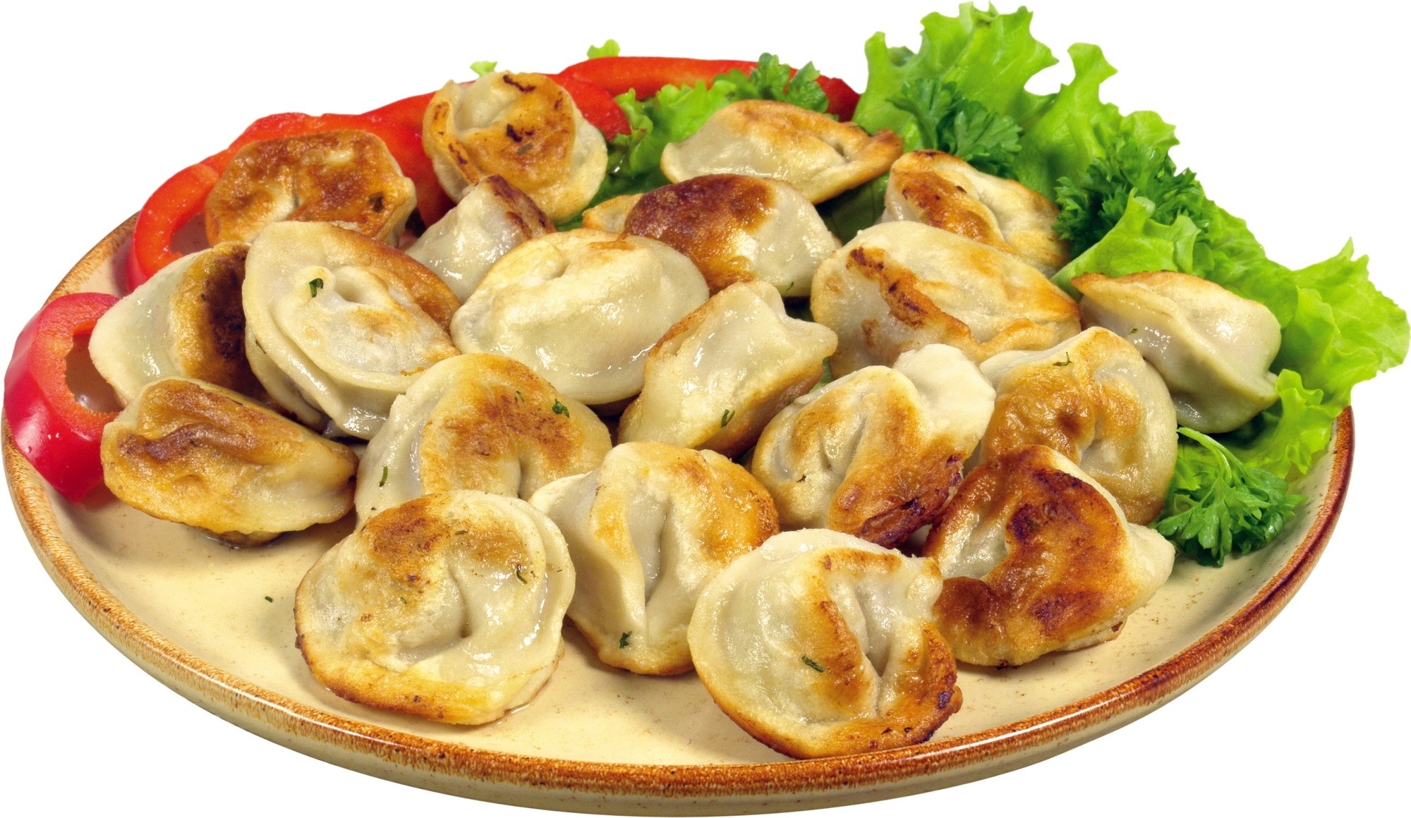 pan-fried dumplings with vegetables