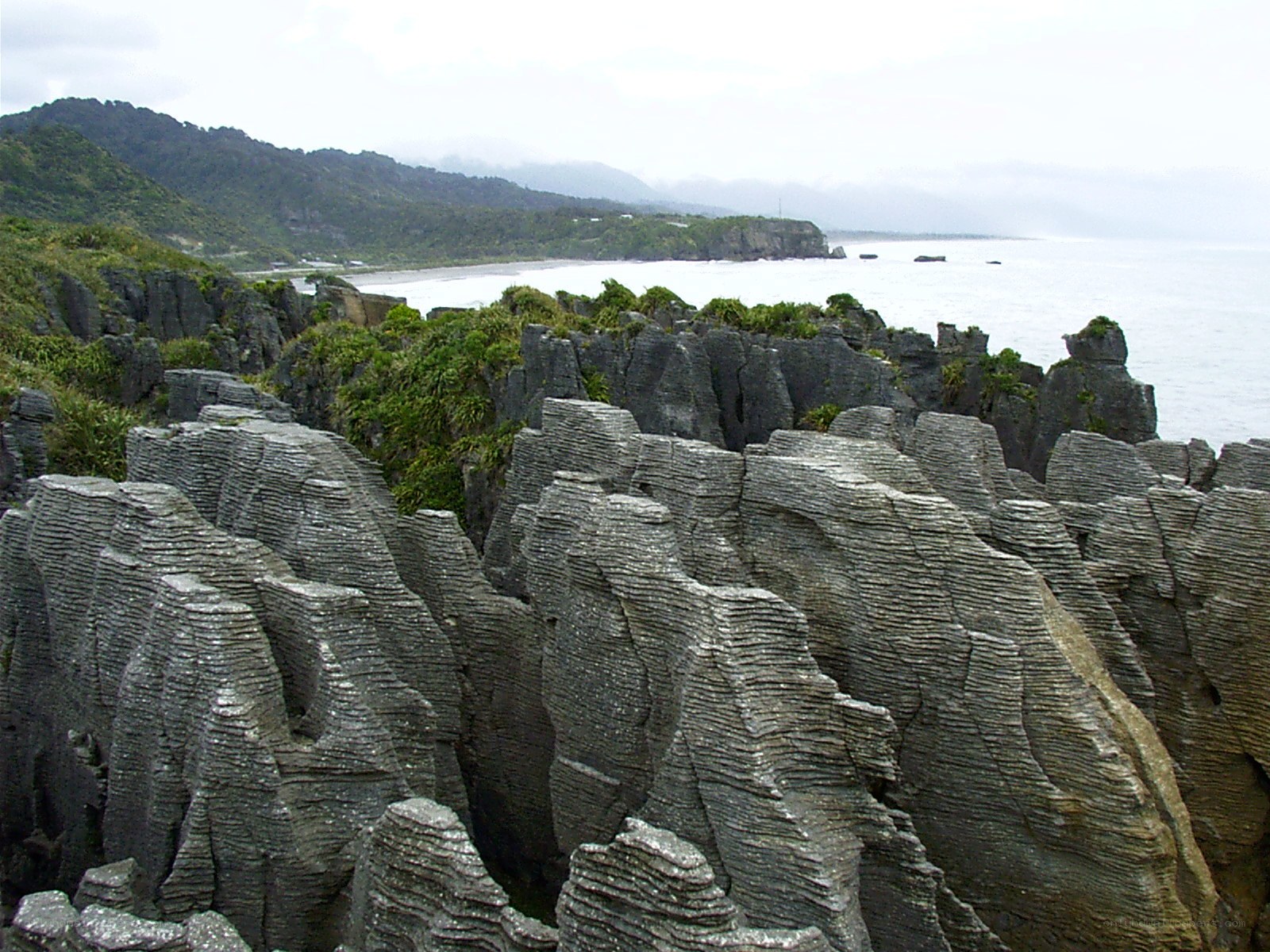Pancake Rocks at Punakaiki