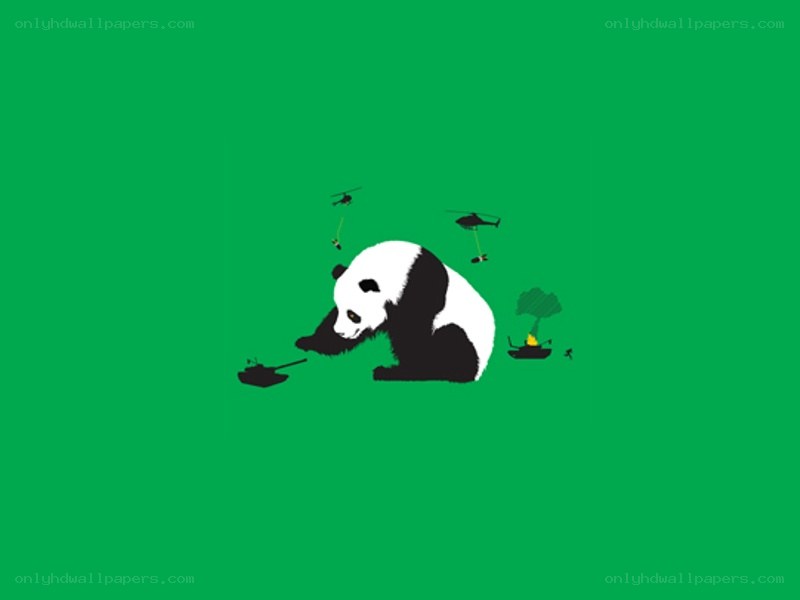Panda amidst conflict
