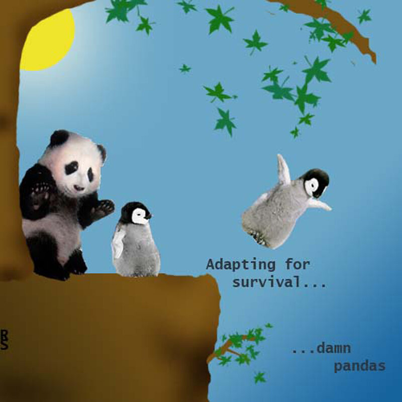 Panda and penguins adapting