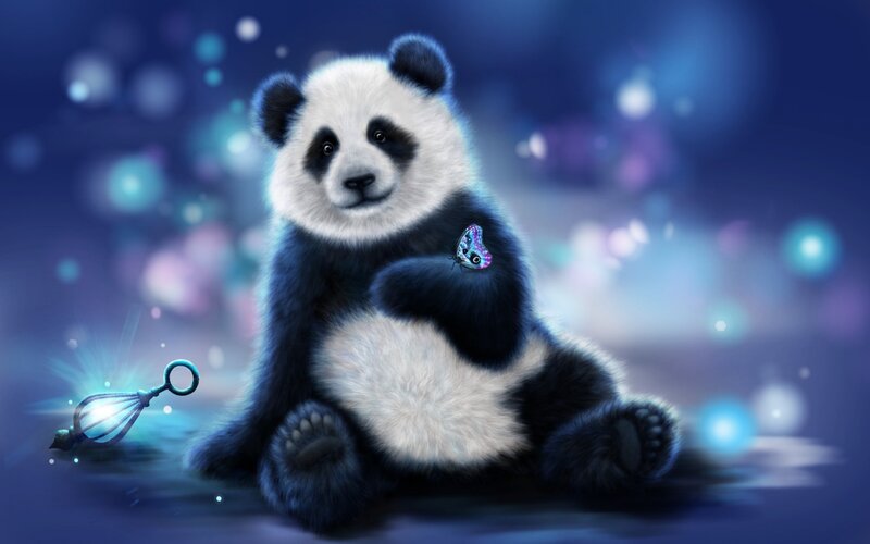 Panda Bear Cub — Blue