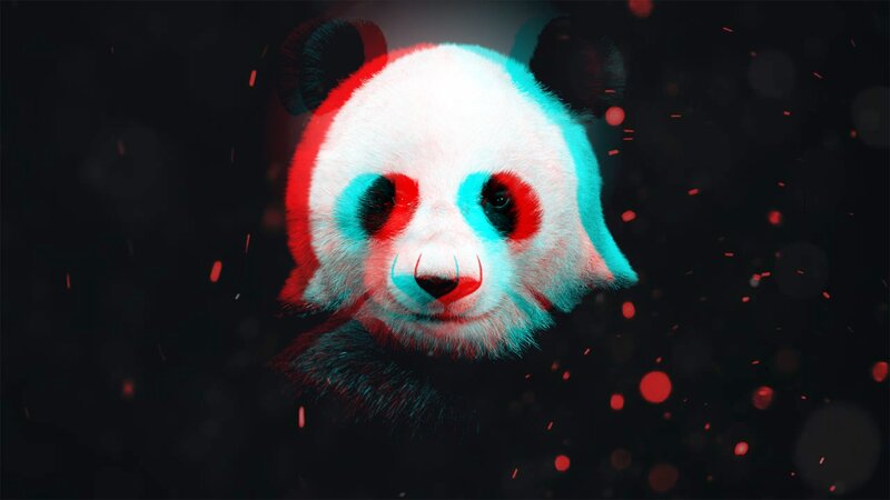 Panda Bear Face — Black, Dramatic, Digital Art
