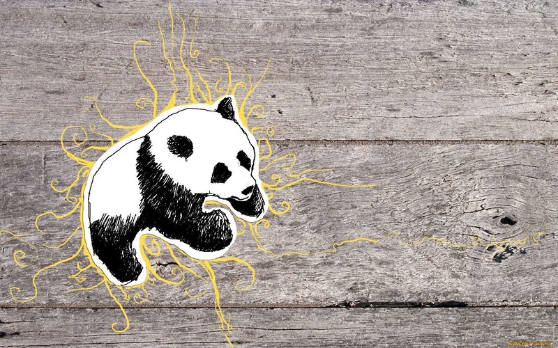 Panda Bear Illustration