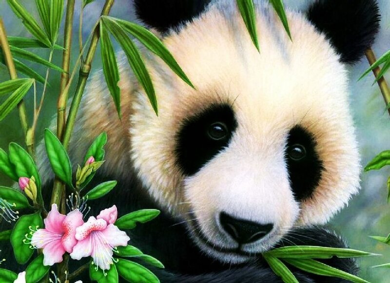 Panda Bear in Foliage