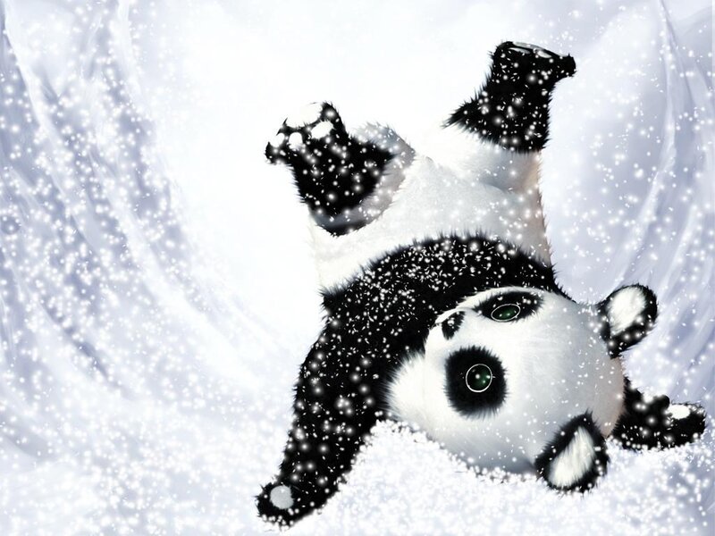 Panda Bear in Snow
