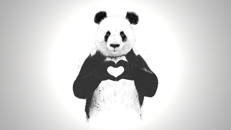 Panda Bear Making Heart