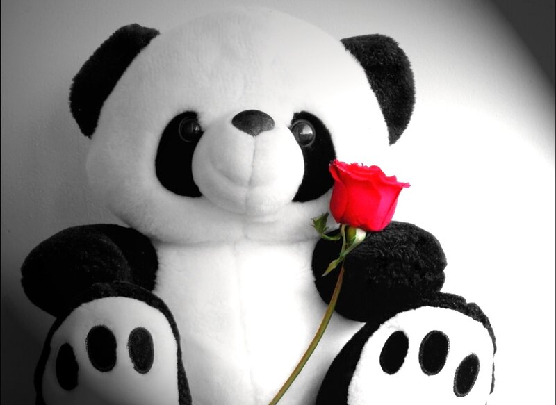 Panda Bear Plush