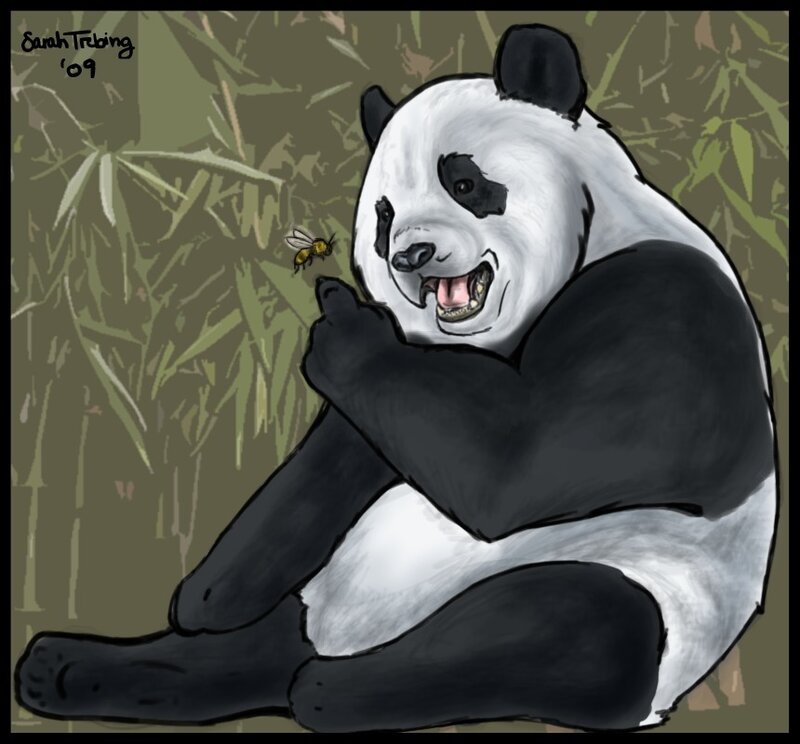Panda Bear with Bee