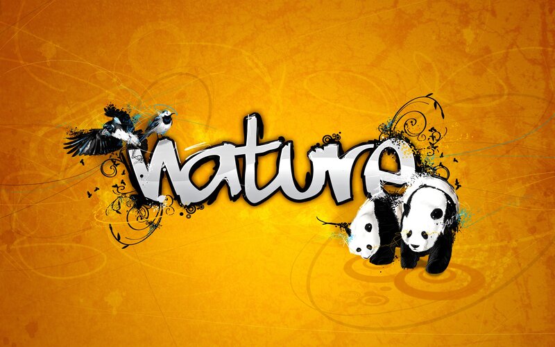 Panda Bears and Birds — Orange, Vibrant