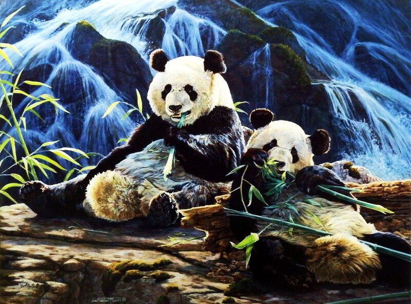 Panda Bears Eating Bamboo — Black