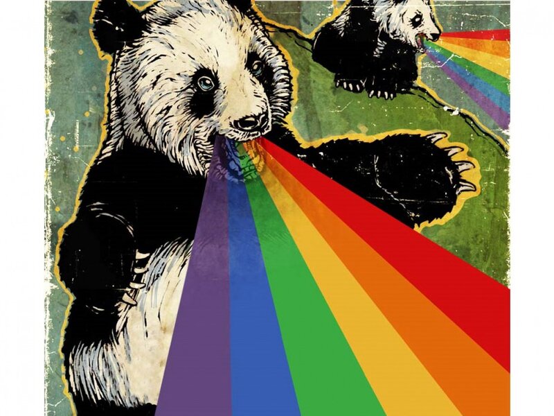Panda Bears Emitting Rainbows