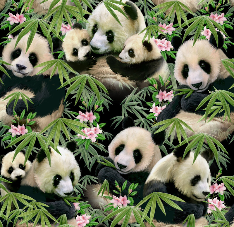 Panda Bears in Foliage