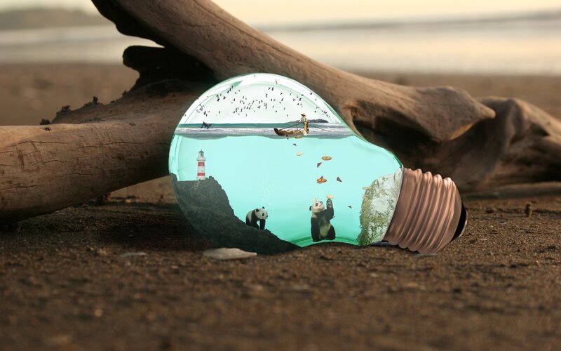 Panda Bears in Light Bulb — Brown, Serene, Sunset