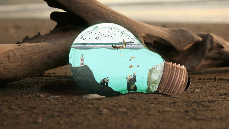 Panda Bears in Light Bulb — Brown