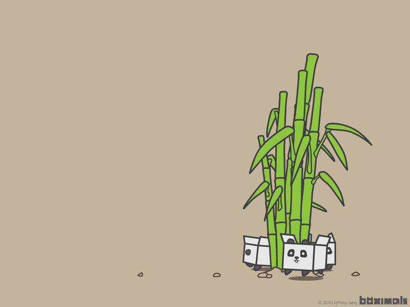 Panda box creatures