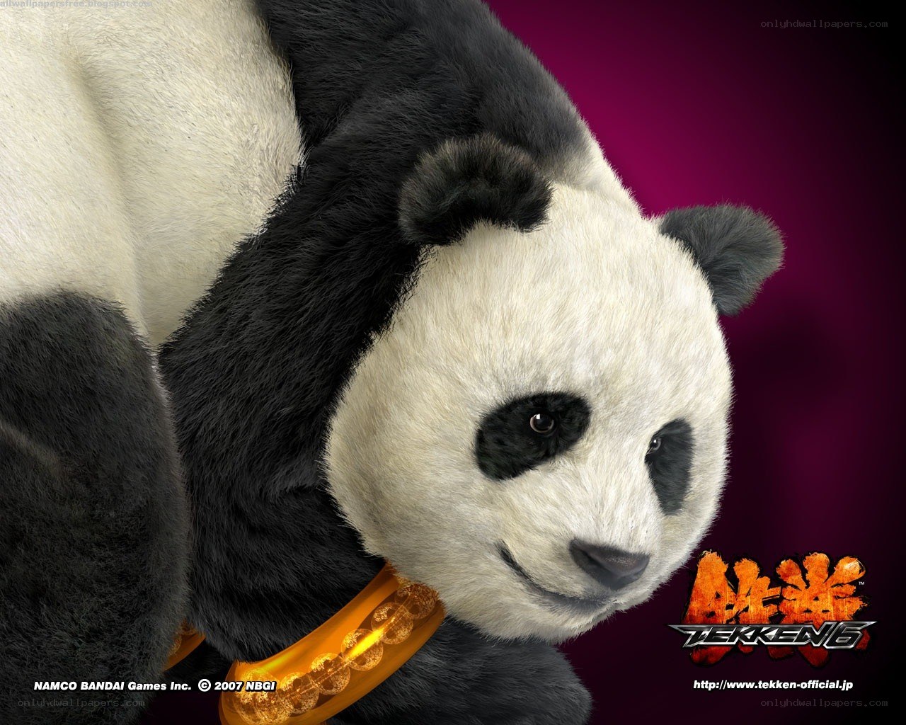 Panda character from Tekken 6