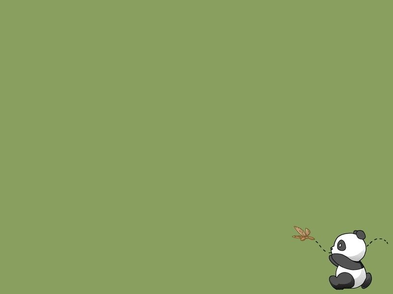 panda chasing butterfly