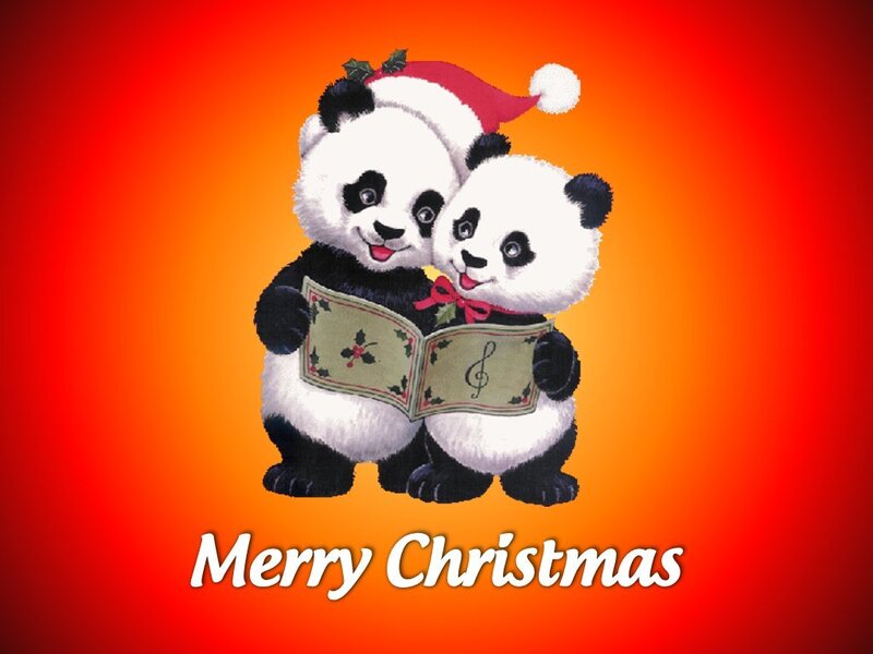 Panda Christmas card