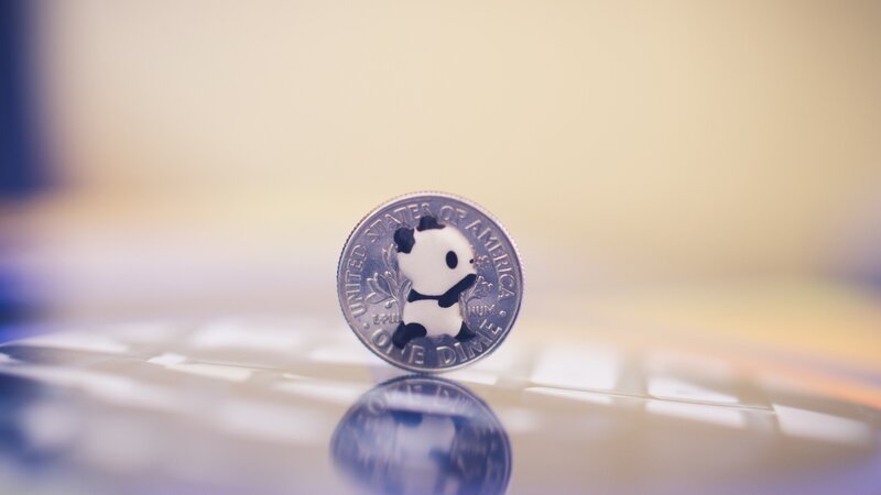 Panda Coin on Surface