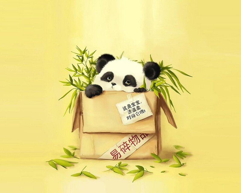 Panda Cub in Box