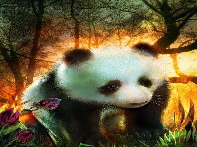 Panda Cub in Forest